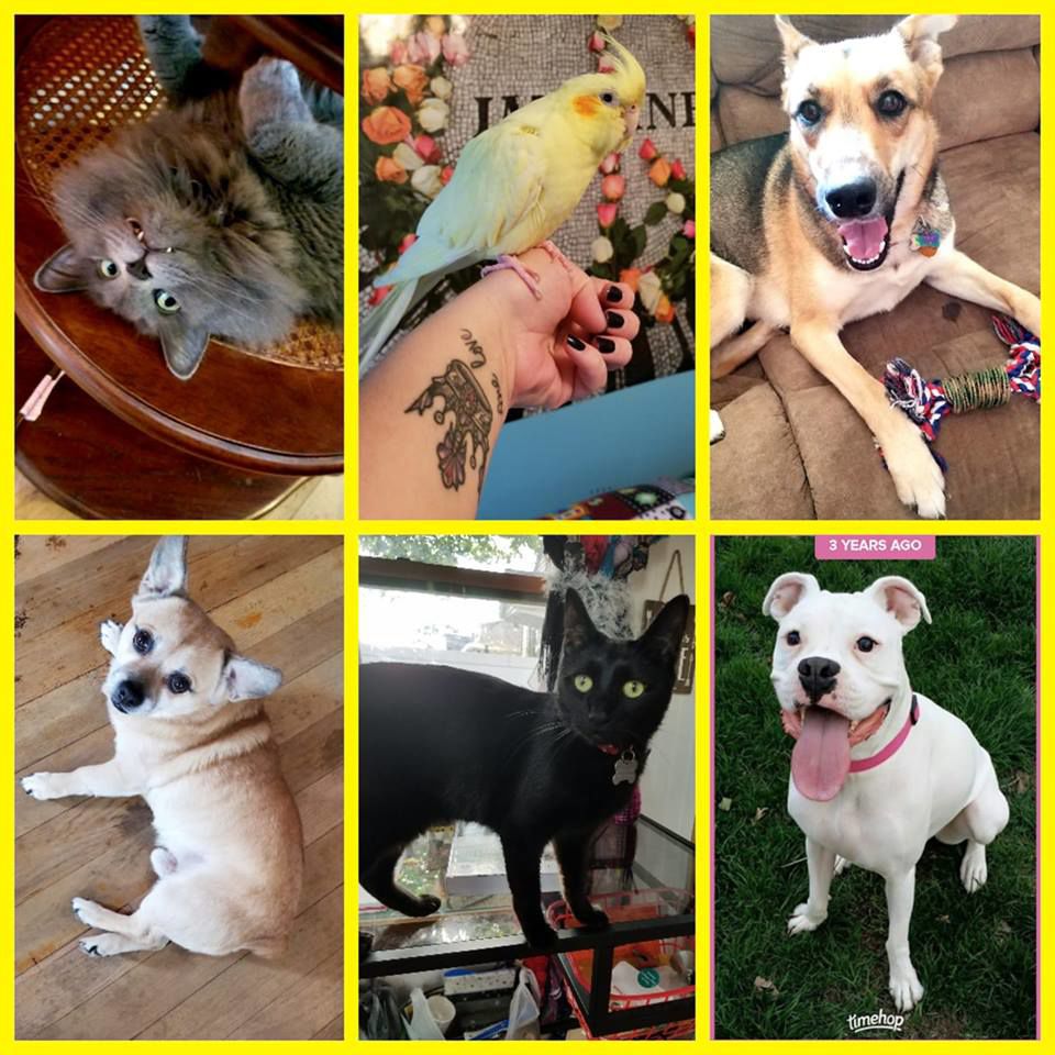 Happy pets equal a happy heart!